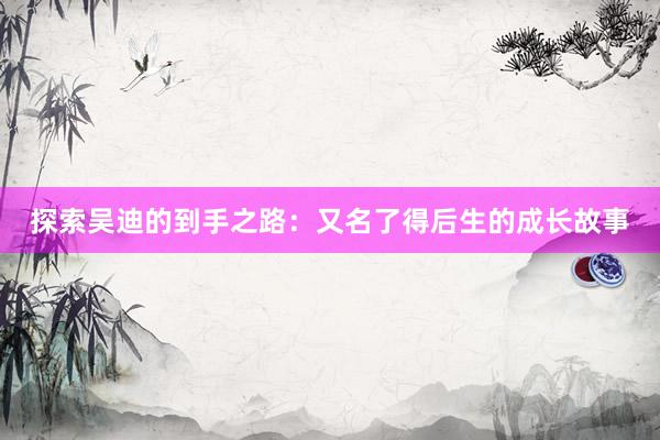 探索吴迪的到手之路：又名了得后生的成长故事